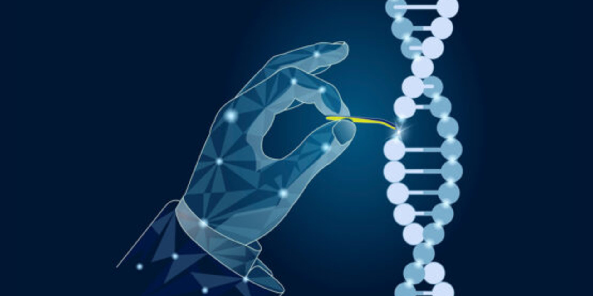 
CasMINI could delete, activate and edit genetic code just like its beefier counterparts. | Image credit: Stanley Qi/Pan Andrii/Shutterstock.com
