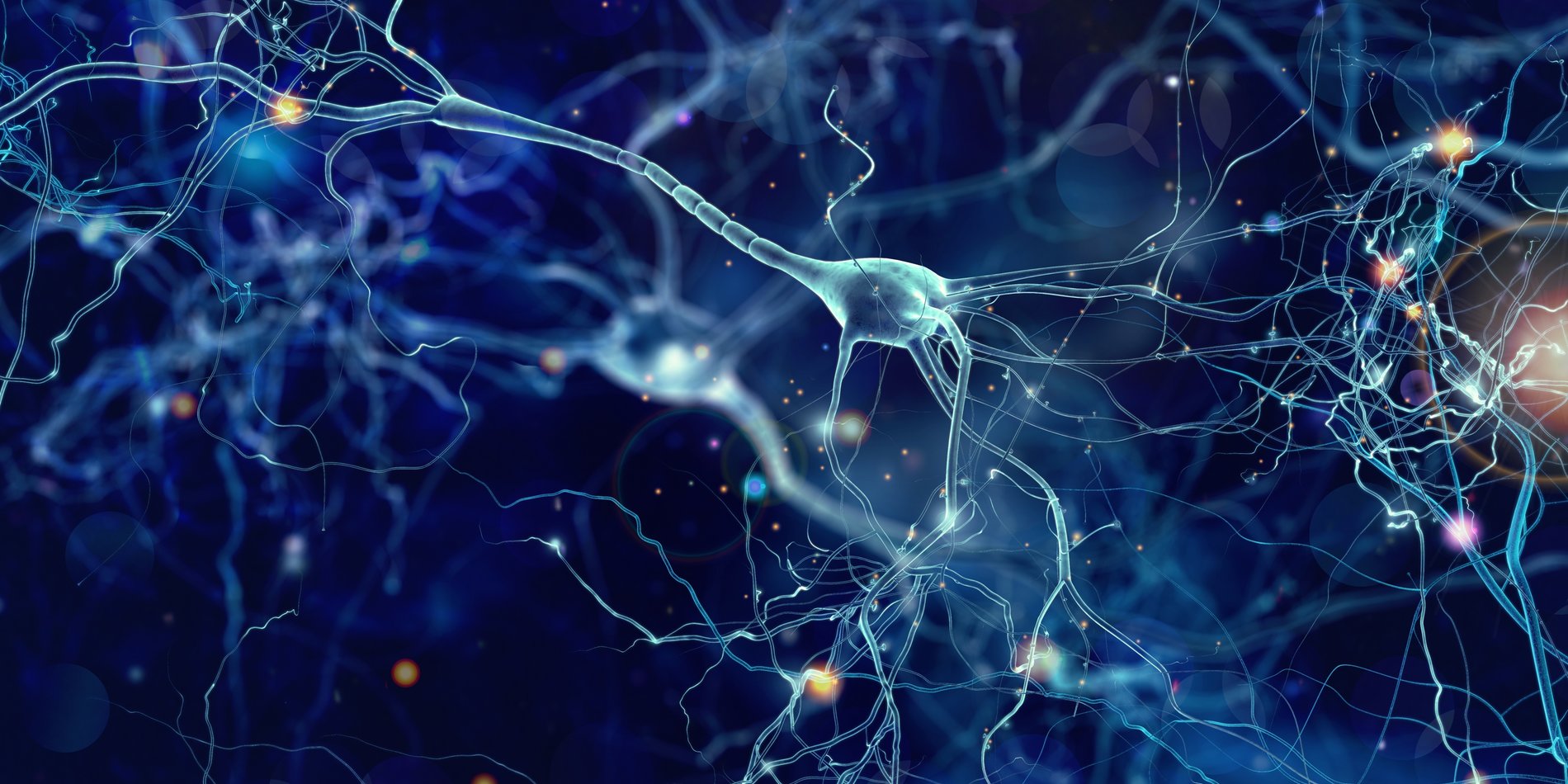 
Bioengineers can deliver messages that instruct the body’s biochemical machinery to do things like regenerate neurons. | Adobe Stock/whitehoune