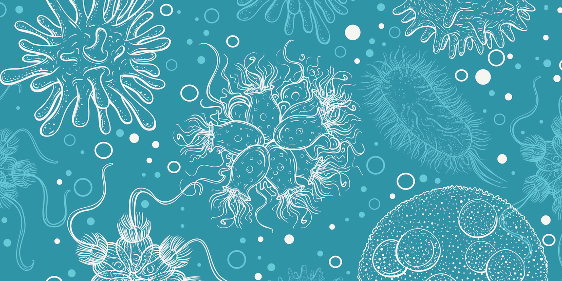 
Illustration of microbes and viruses by iStock/kateja_f