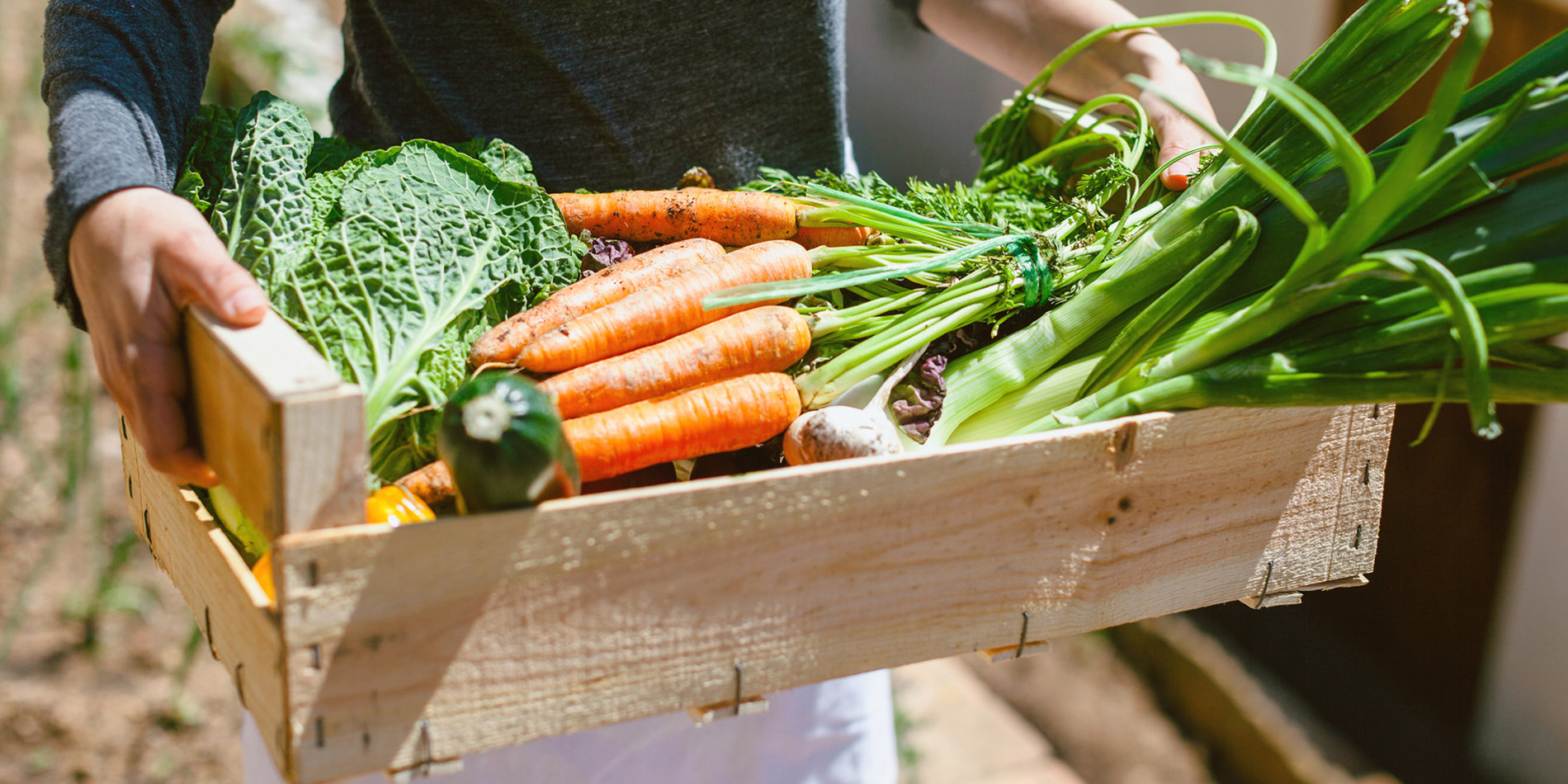 
What role do community gardens play in disease prevention? | Stocksy/Bonninstudio