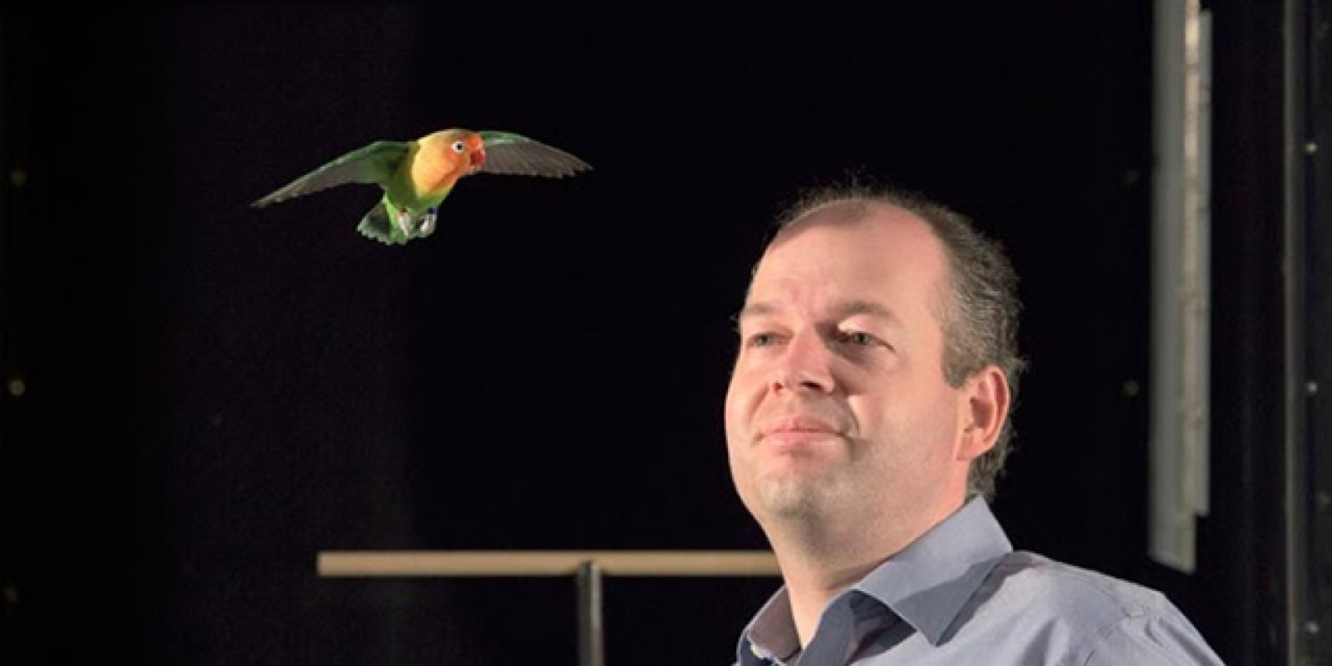 

	
		
			
				Ferrari, a lovebird, with Stanford's David Lentink, who is using a wind tunnel to probe the mysteries of birds in flight. | Photo by L.A. Cicero
			
		
	

 