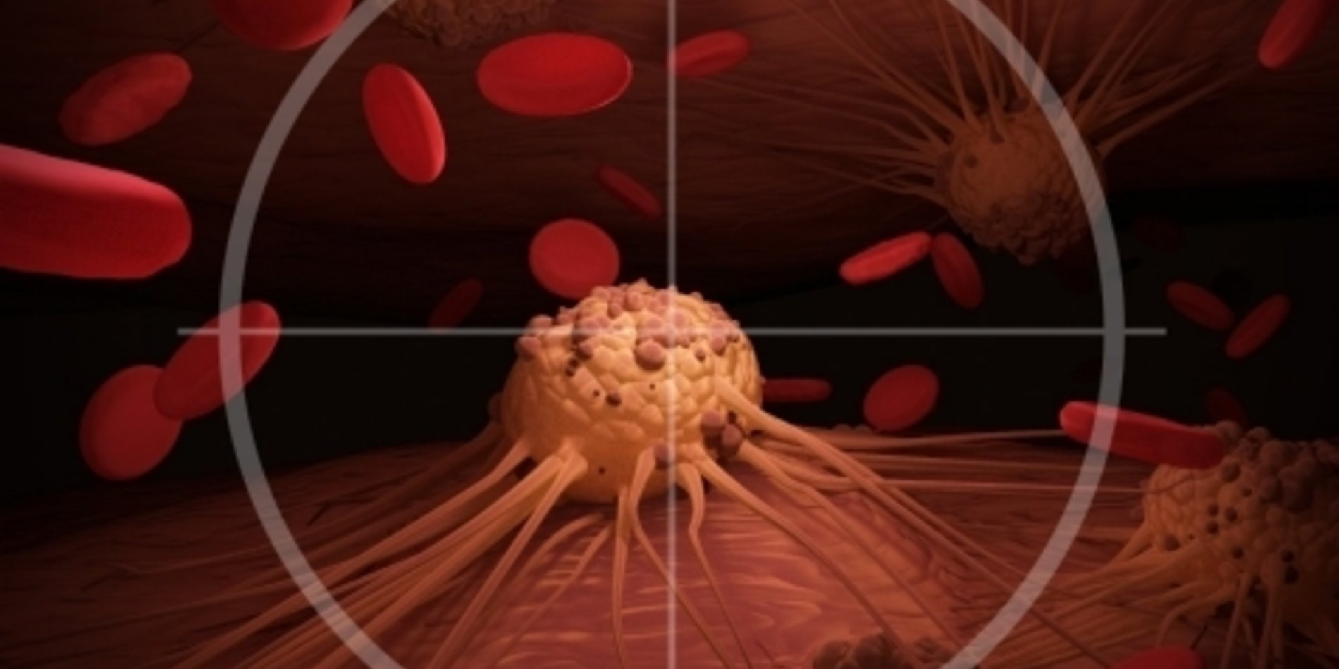 Image of immunotherapy molecule targeting tumor