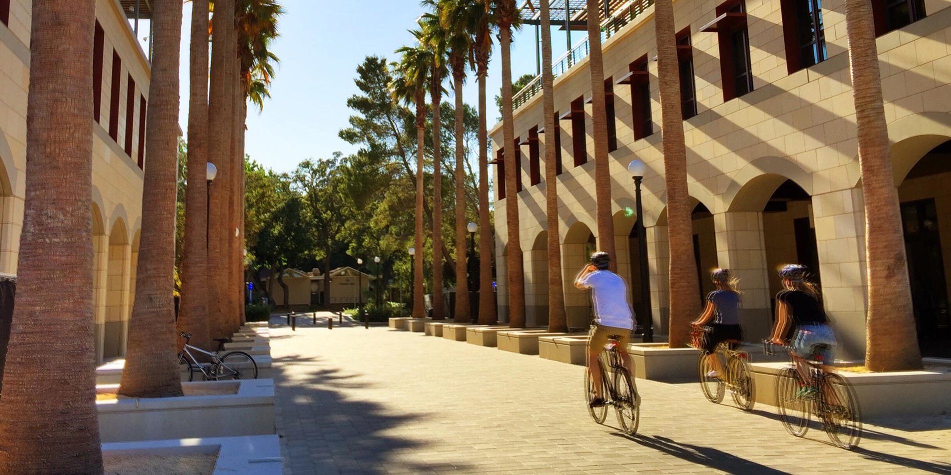 Bikers passing through the palm-lined entryway to the Science and Engineering Quad