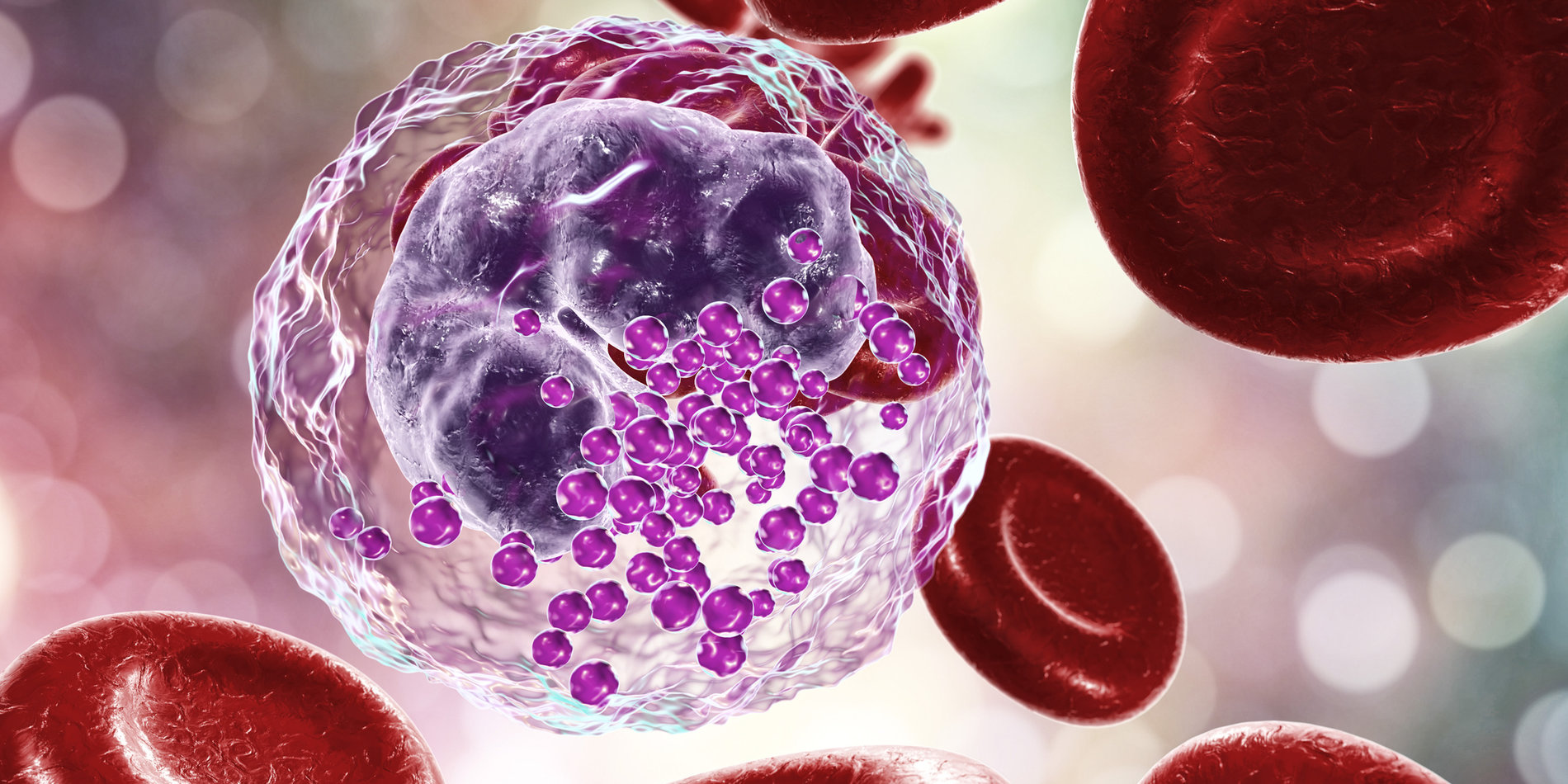 A 3D illustration of a basophil among red blood cells.