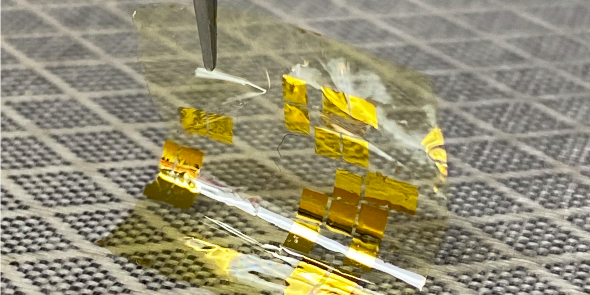 Solar cells held up with tip of tweezers