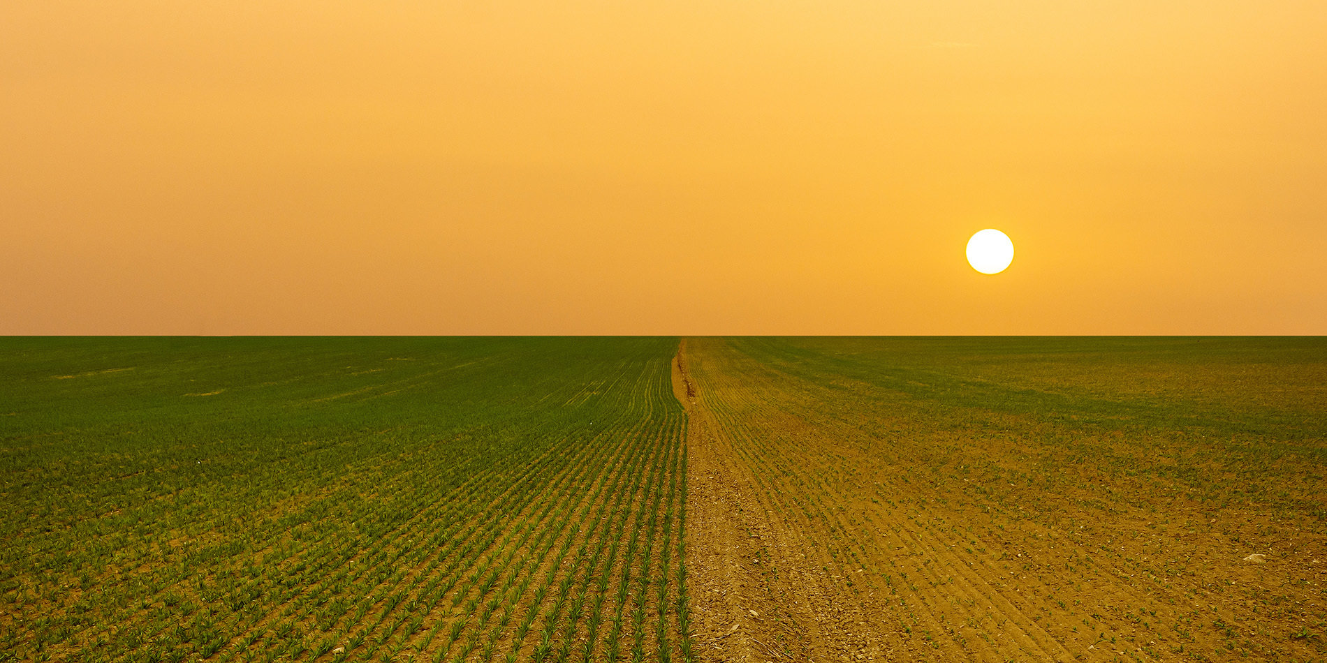 Photo of farmland with a smoky horizon.