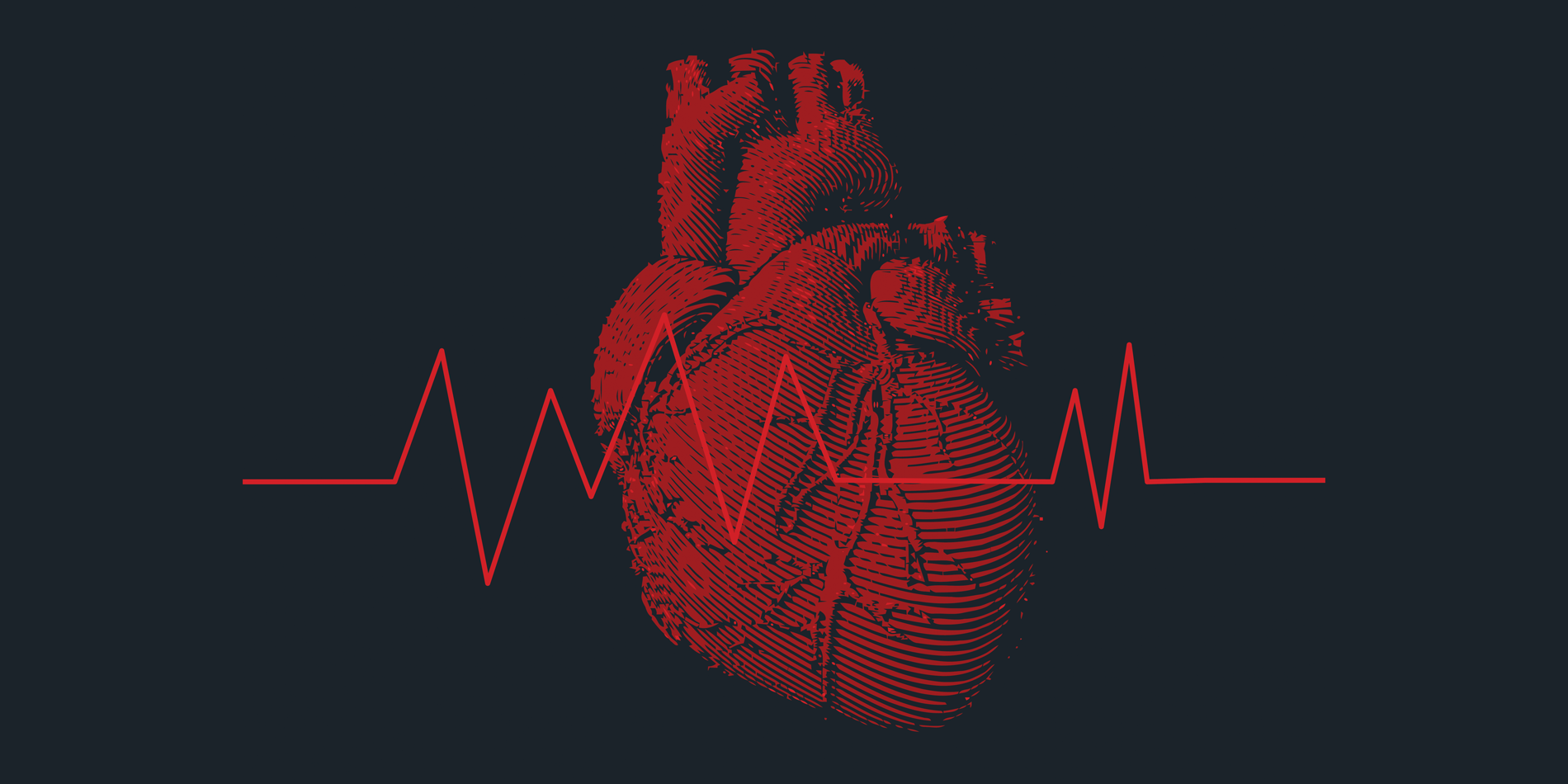 Engraving of human heart with heart rate.