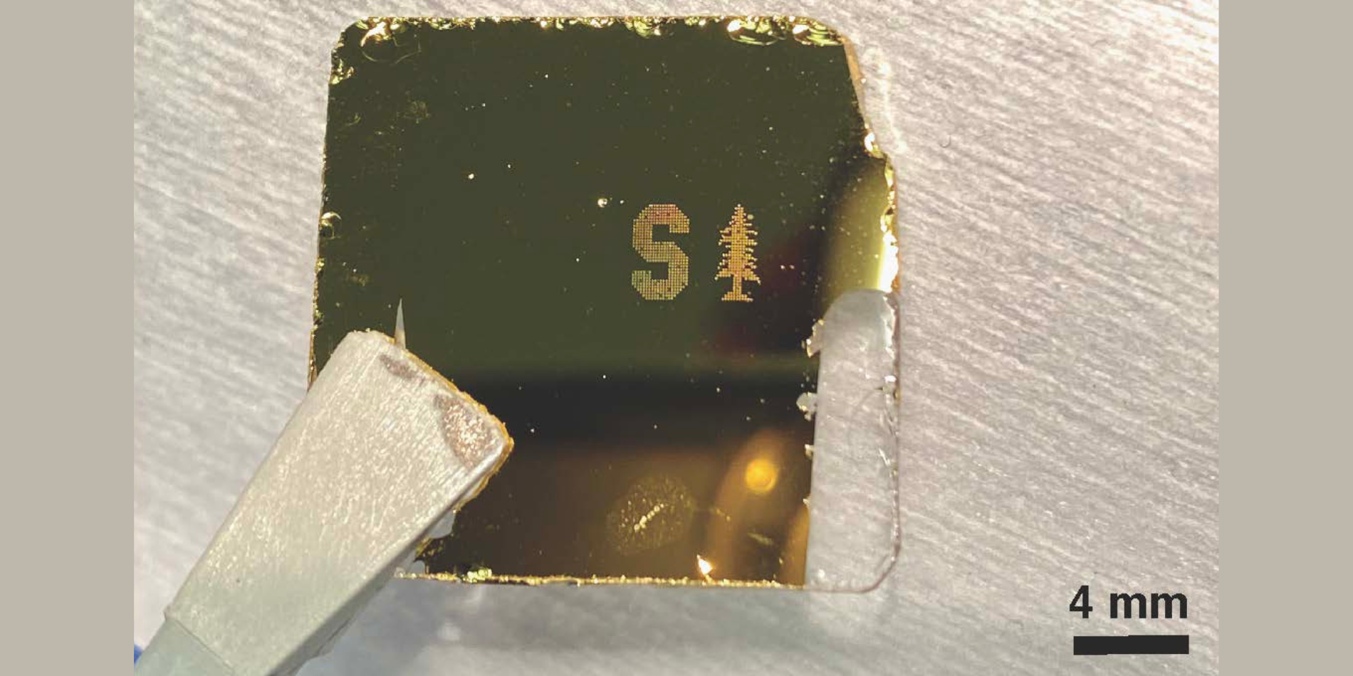 A tiny version of a Stanford logo printed on a gold-coated slide.