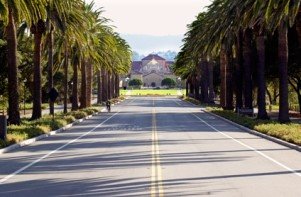 Stanford's Palm Drive with Memorial Church at the end.